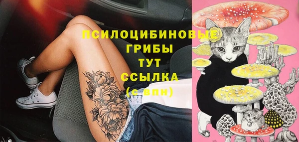ешки Алексин