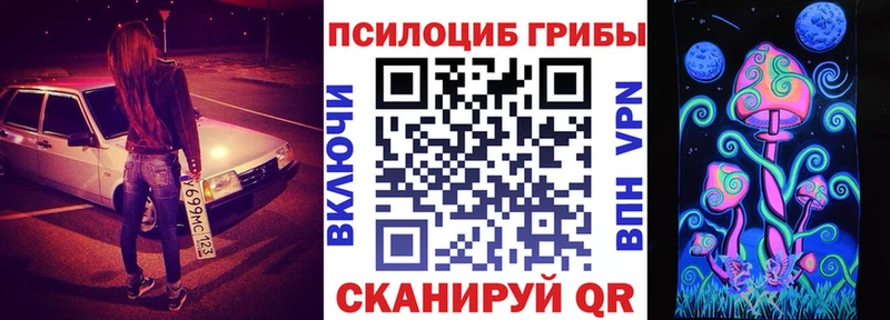 Псилоцибиновые грибы Magic Shrooms  где купить наркоту  Пугачёв 